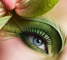 Eyebrow Embroidery: Nouri Face & Body Concepts